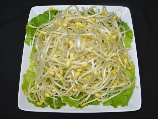 豆芽.JPG
