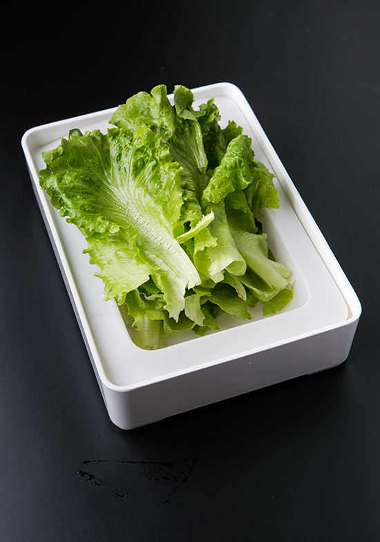 生菜5.jpg